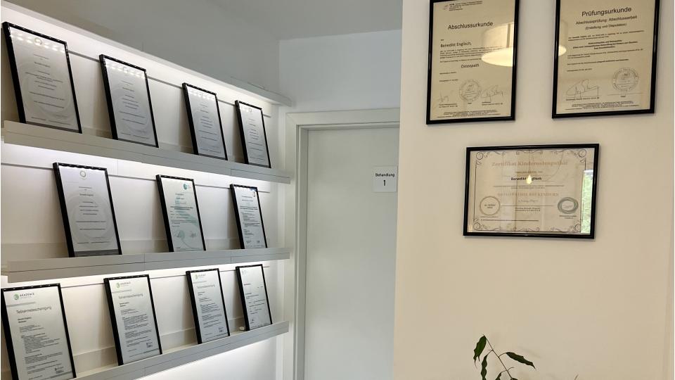 Voraussetzungen für die Osteopathie in der Praxis für Osteopathie Benedikt Englisch BEO in Wiesbaden